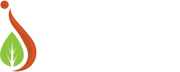 Jauna